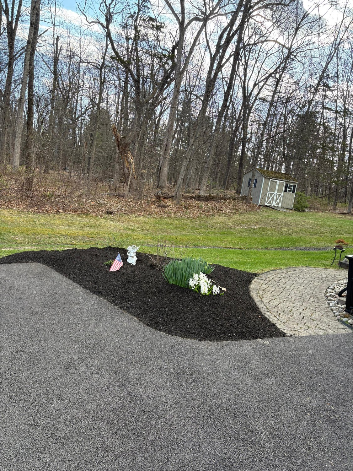 Planting beds and property cleanup